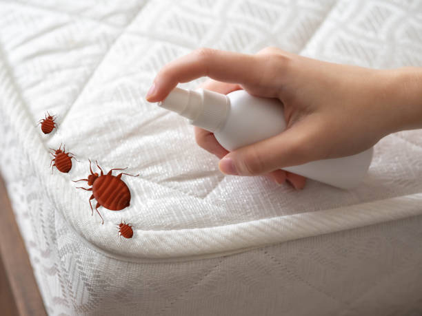 Best Flea Control Services  in Hartford, IL