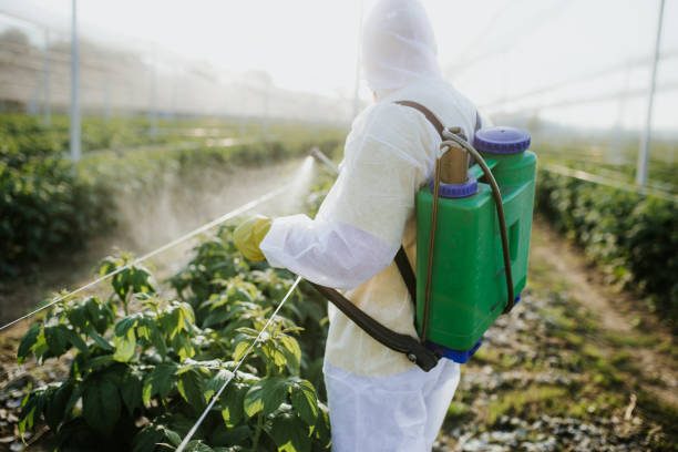 Best Termite Control Services  in Hartford, IL